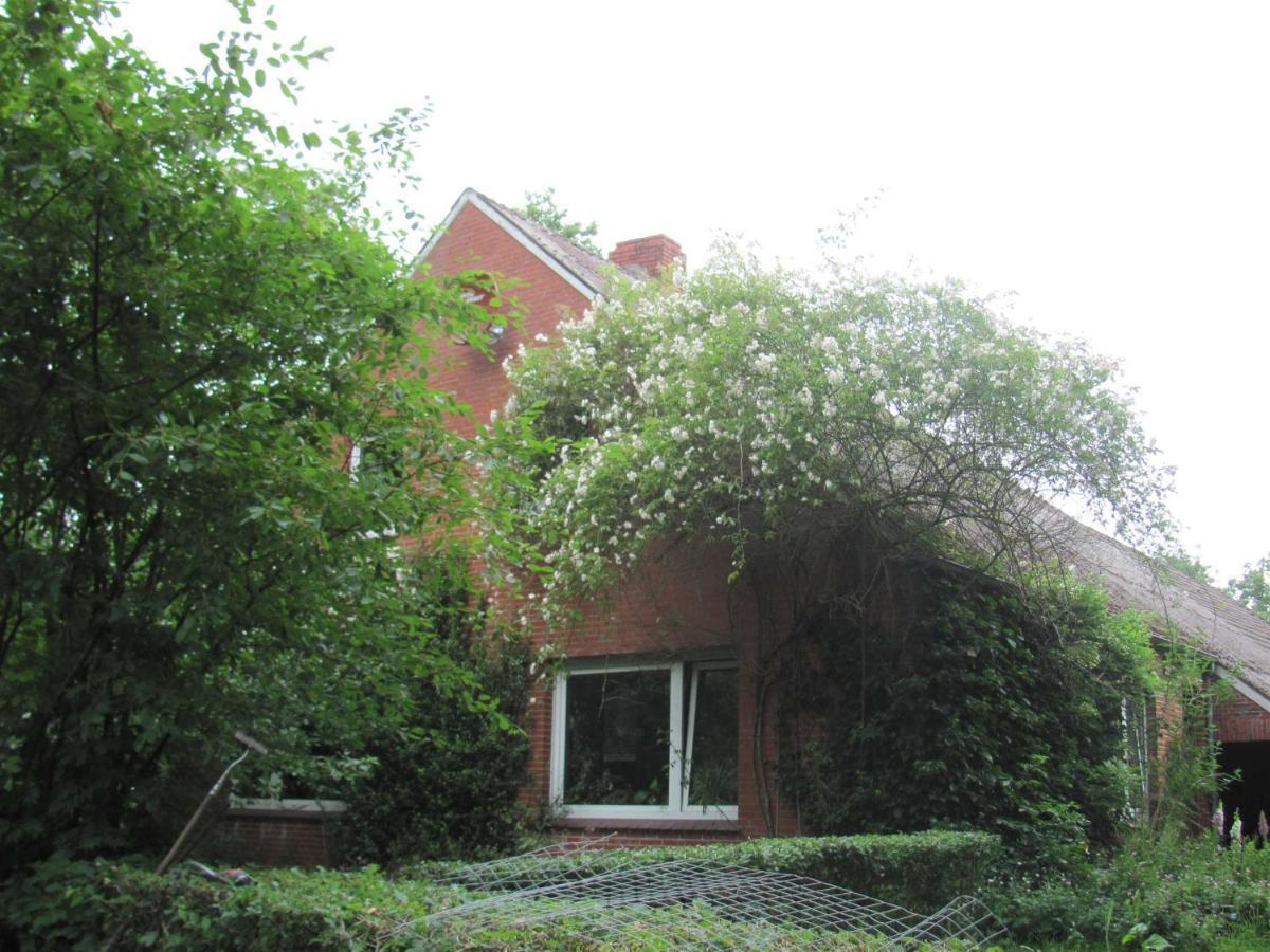 Gaestezimmer Im Engelshof, 61224 Moormerland 외부 사진